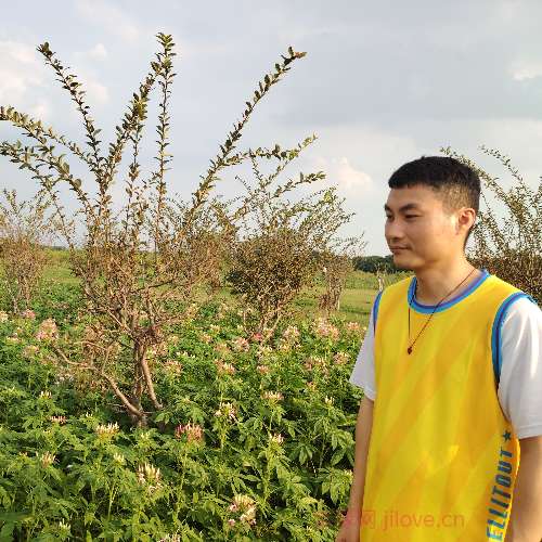 37岁岁广东单身帅哥 - 衡水吉缘网